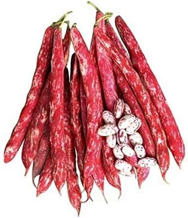 51drluXU65L. AC .jpg