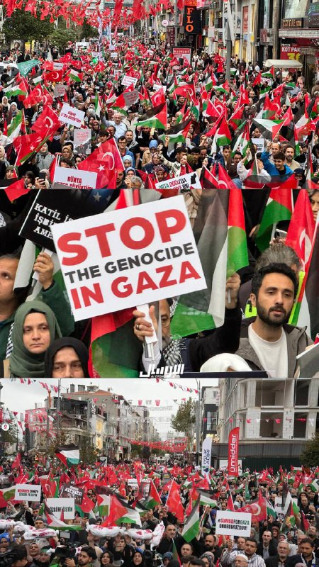 مسيرة حاشدة في العمرانية التركية؛ إسنادًا لغزة....