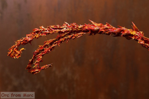 003 Balrog with whip and sword.jpg