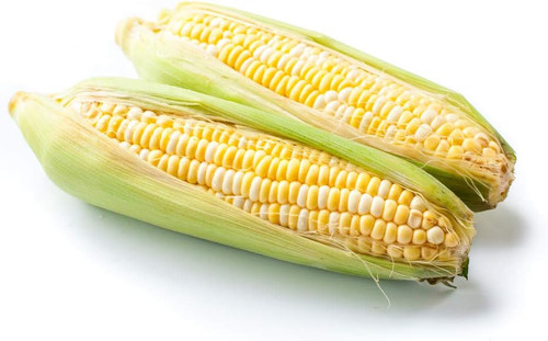 515sV gH+ZL. AC SL1000 .jpg