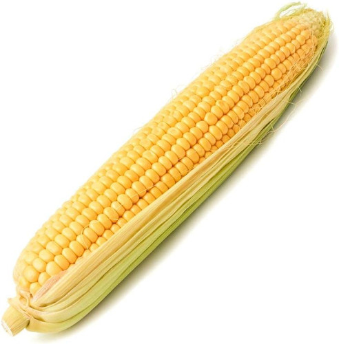 51QIUTLRu8L. AC SL1000 .jpg