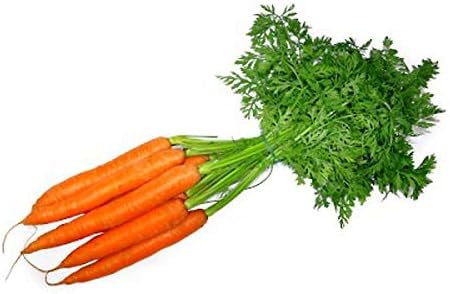 41n6II8BElL. AC .jpg