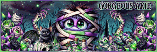 fcbanner21st 5thoct GORGEOUS ARIE