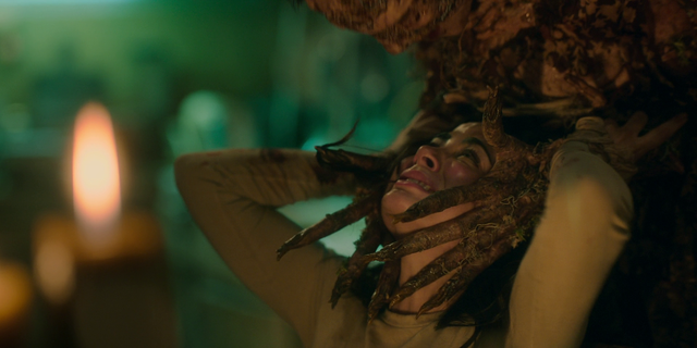 Vlcsnap-2025-09-29-17h56m04s422