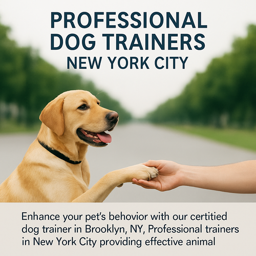 Professional Dog Trainers in New York City.png