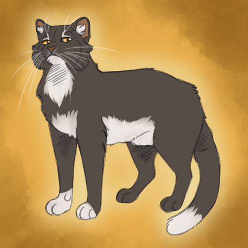 tumblr 0f429c8ad718716b9cd6b24795ae9521 9a2cbfd6 1280