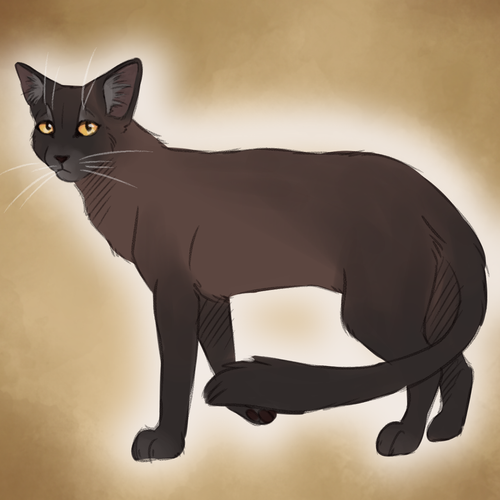 tumblr puc518Tbuc1y9nt1ho1 1280