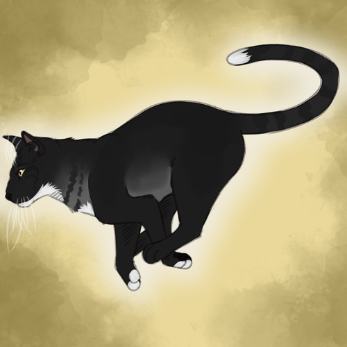 tumblr 83fde840f1daec1392efabd589d60ddc a311c4c3 1280