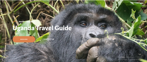 Uganda safari cost.png