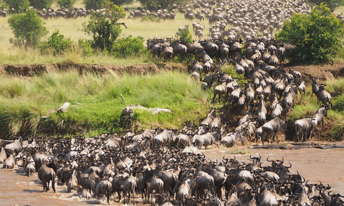 Best Time to Visit Tanzania.jpg