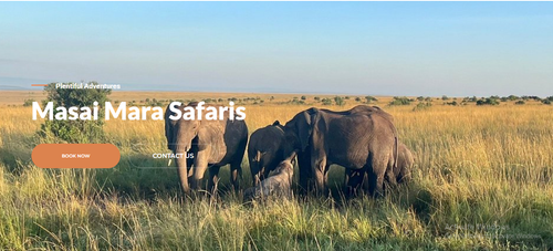 Masai Mara Safaris.png