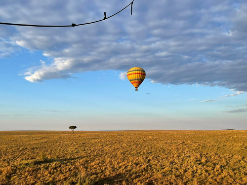 6 day safari Tanzania.jpg