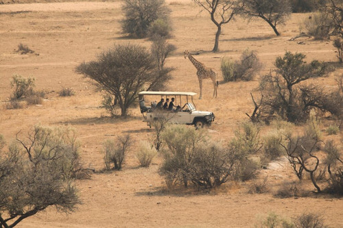 Kenya and Tanzania safari.jpg
