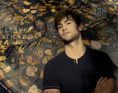 daisychapter9 copy.jpg