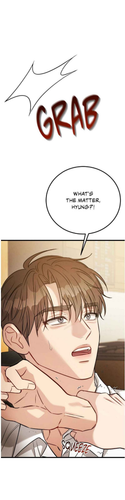 13.png