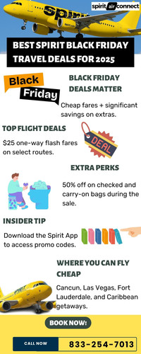 Best Spirit Black Friday Travel Deals for 2025.jpg