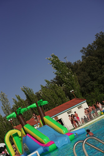 DSC02405.jpg