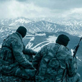 Cool Picture