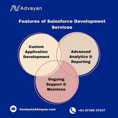 Features of Salesforce Development Services.jpg