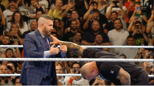 GIF 8 29 2025 8 18 03 PM.gif