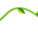 vine