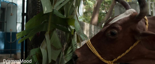 photo 4 2025 08 30 00 50 51.jpg