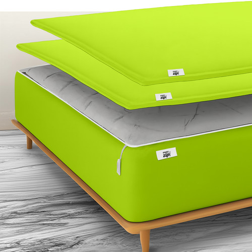 Parrot Green.jpg