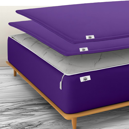 Purple.jpg