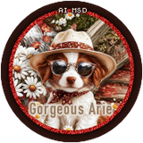 ssy DaisyMemoriesaGorgeousArie vi