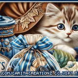 y BlueberryDreamscGorgeousArie vi