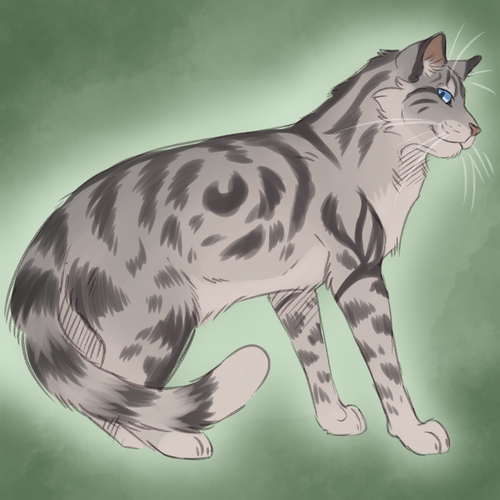 2025 08 29 0jb Kleki