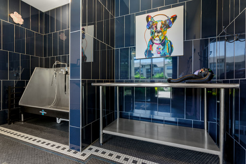 C243950 AlleiaAtPresidio DogSpa4 02.jpg