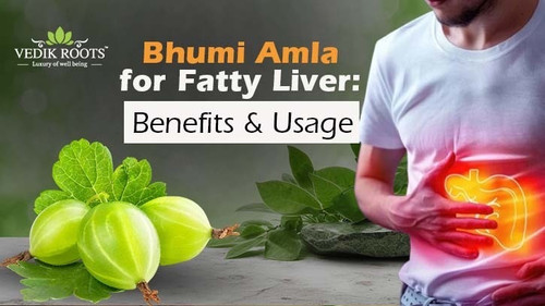 Bhumi Amla for Fatty Liver: Benefits & Usage.jpg