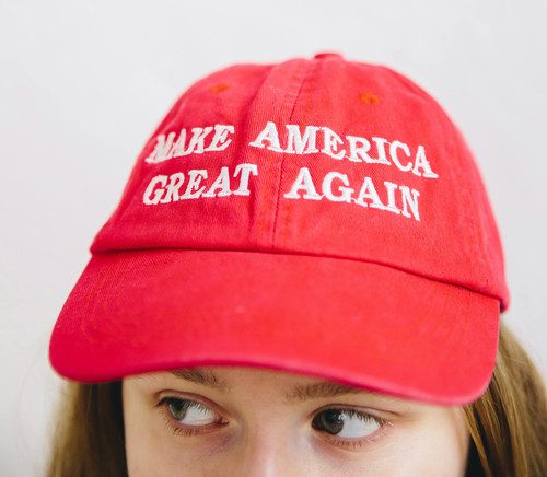 pexels polina zimmerman 4108469.jpg