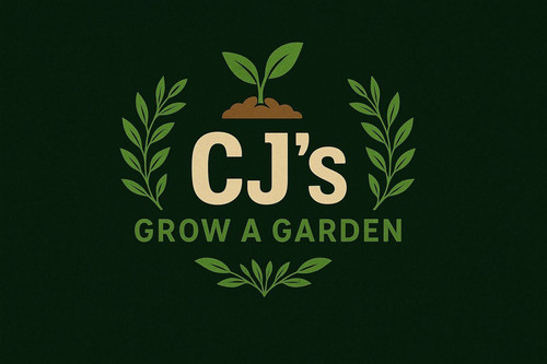 IMG 20250829 WA0006.jpg