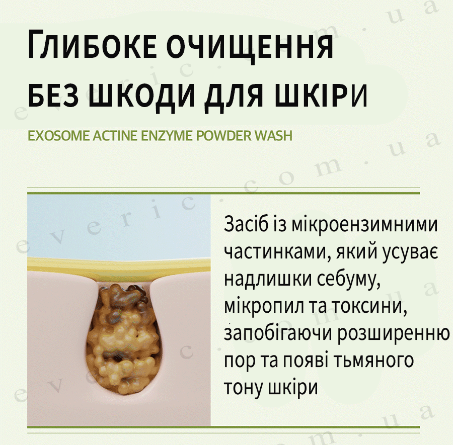 7 копия