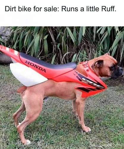 554870144 1222623103224364 5693125140545070381 n (1).png