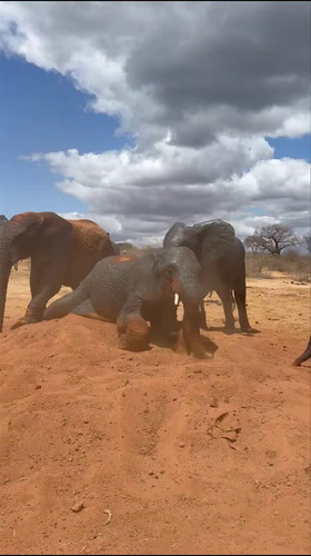 FxftyNcvMXL uUUr.jpg