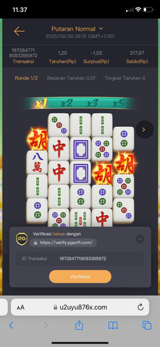 WhatsApp Image 2025 09 30 at 11.38.13.jpg