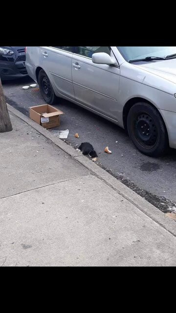 v692z5P BGyDyR8F.jpg