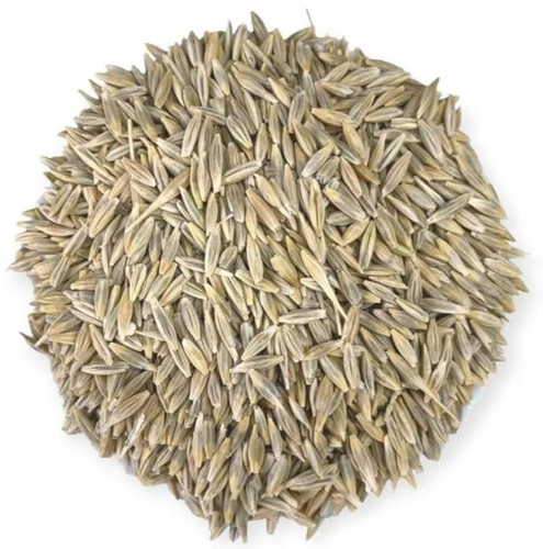 61NFov3Wn9L. UF1000,1000 QL80.jpg