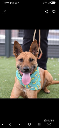 G0kiAe XcAAocsv?format=jpg.jpg