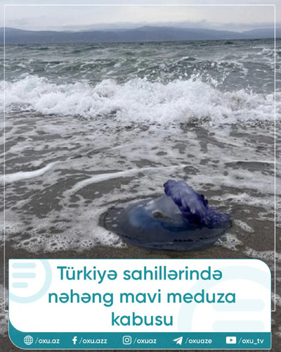 Ds 1Le3CQuKtYbgSYGrxeTKoV fDj0XnqPvECxkdJatYNgialIiTNJ7fdezHjo rpmF32ubbAt0rkJiFcemxrZ8GwgQPlBqLFhup.jpg