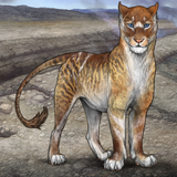 Screenshot 2025 09 30 12.44.45 AM.png