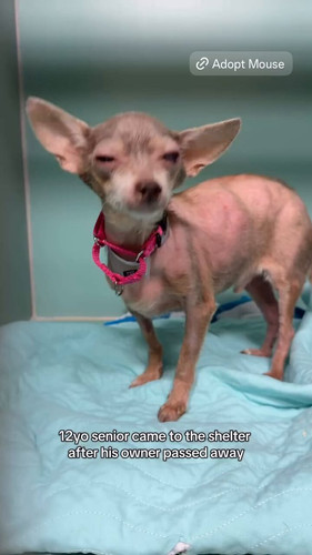 qqiRHB 3wobtCKVY.jpg