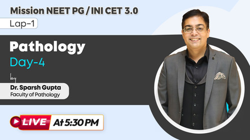 WhatsApp Image 2025 09 29 at 6.36.50 PM.jpg