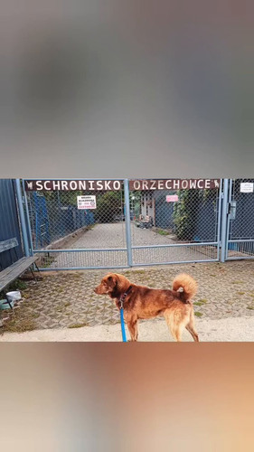 u ojKhw4pZsqYi3l.jpg