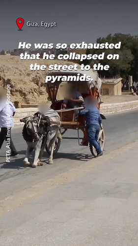 2R SJ4v6C6O03JY4.jpg