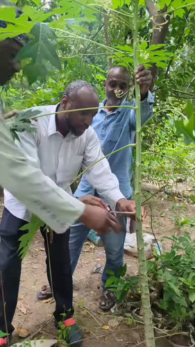 UPMHhq2SOKAC GVs.jpg