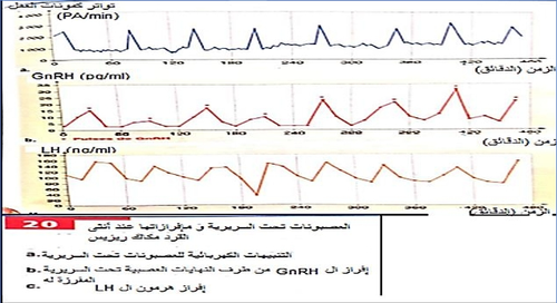 screenshot 1759094054533.png